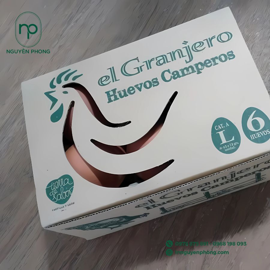 in-hop-carton-dung-trung-gia-re-tai-ha-noi